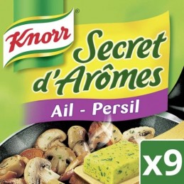 KNORR大蒜欧芹调味料 9 片 10 克